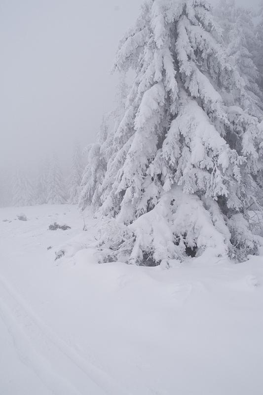 09 - Au dessus de la route des crêtes.jpg